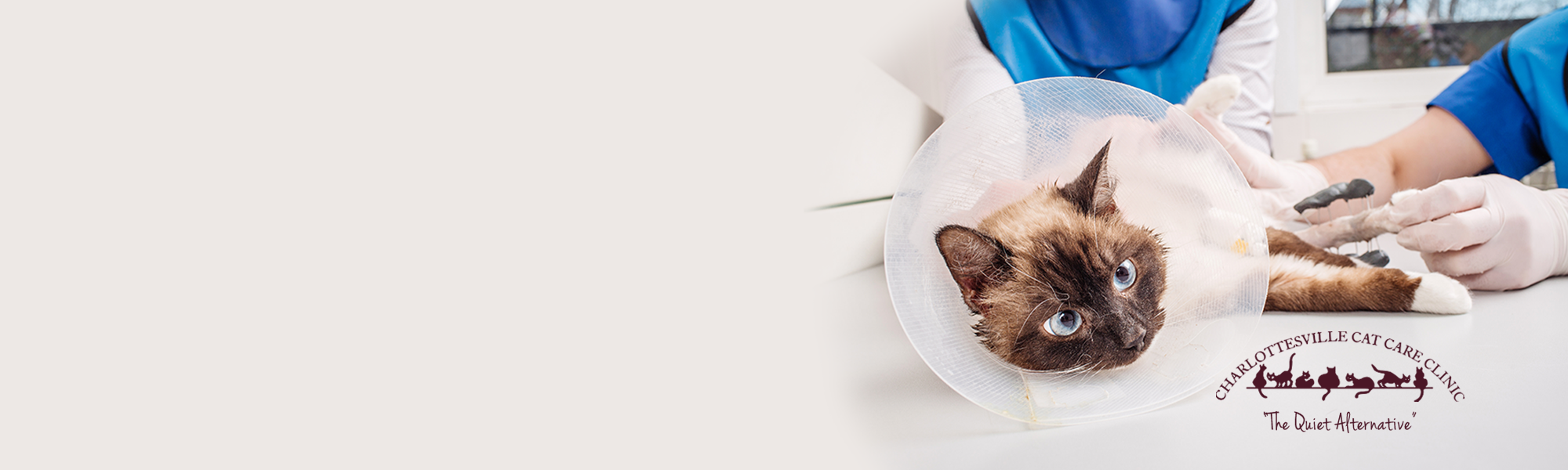 Charlottesville Cat Care Clinic and LANDAUER are a Purrfect Match